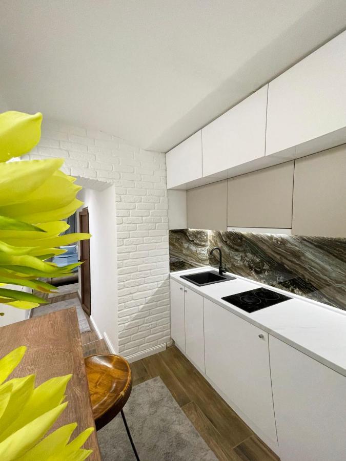 Colorway Apartment 贝尔格莱德 外观 照片